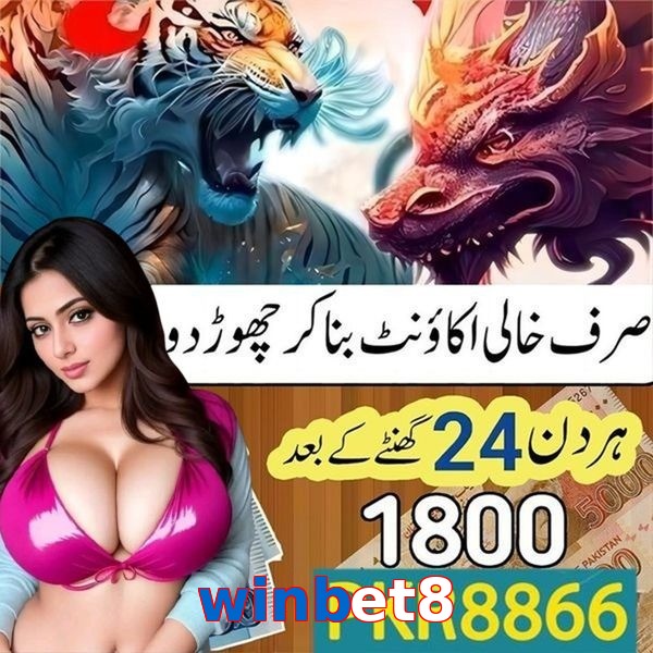 winbet8
