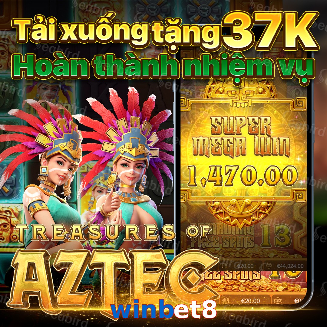 winbet8