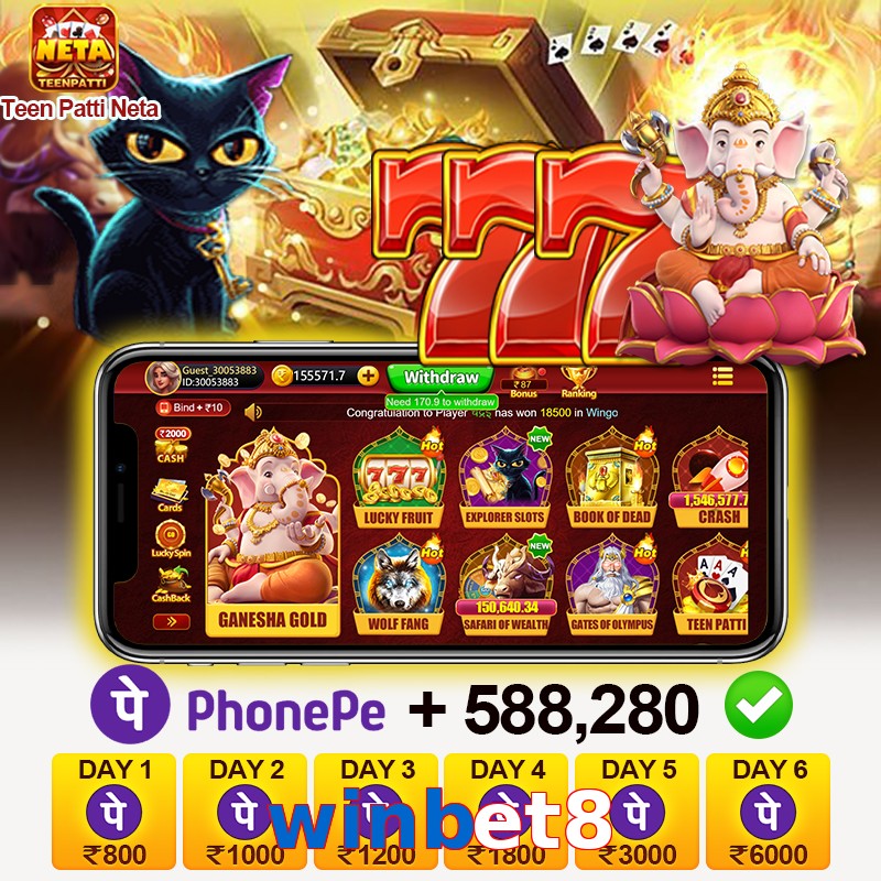 winbet8