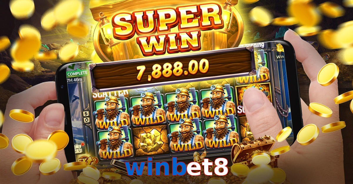 winbet8