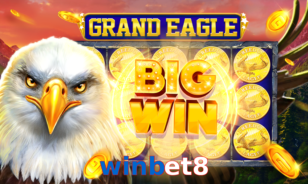 winbet8