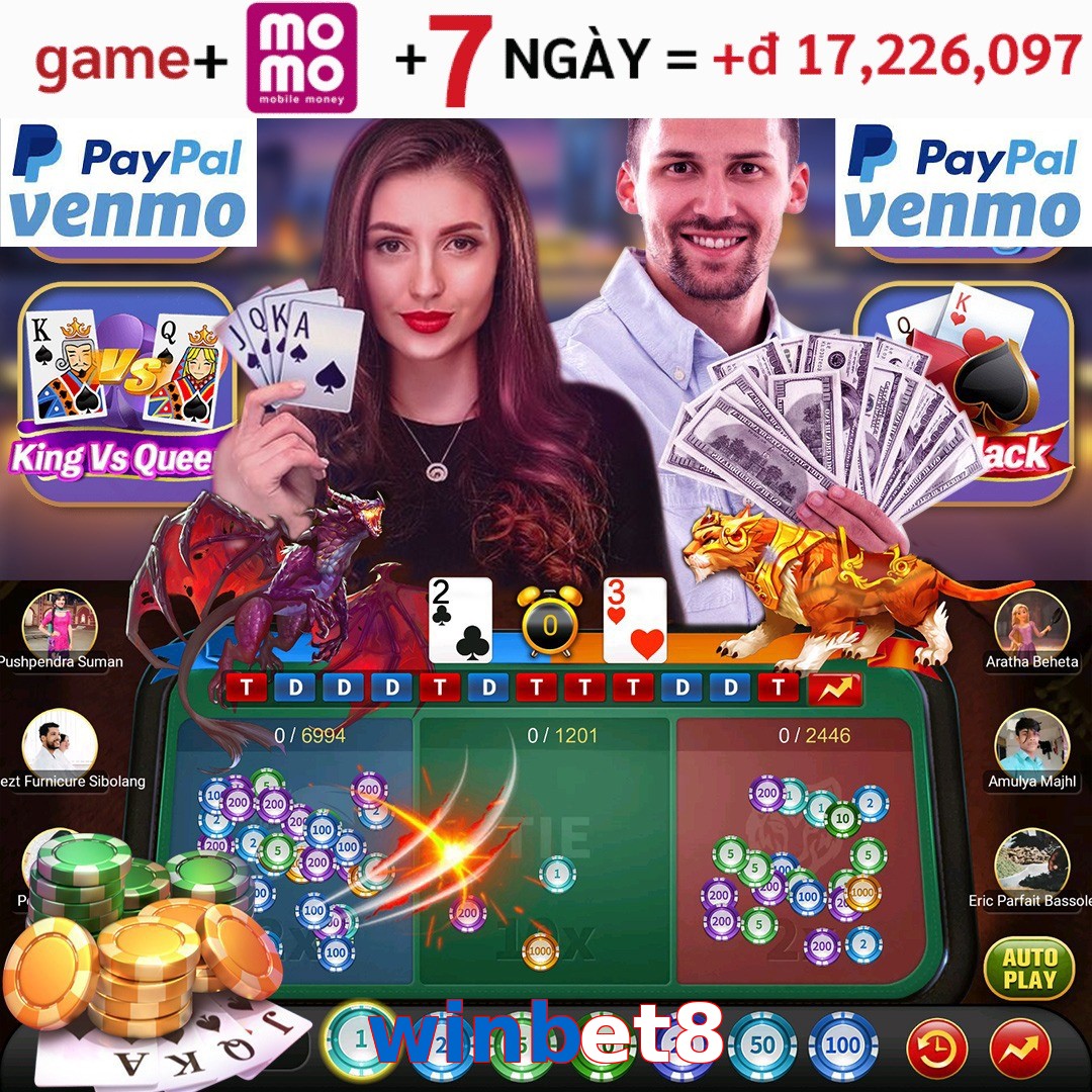winbet8