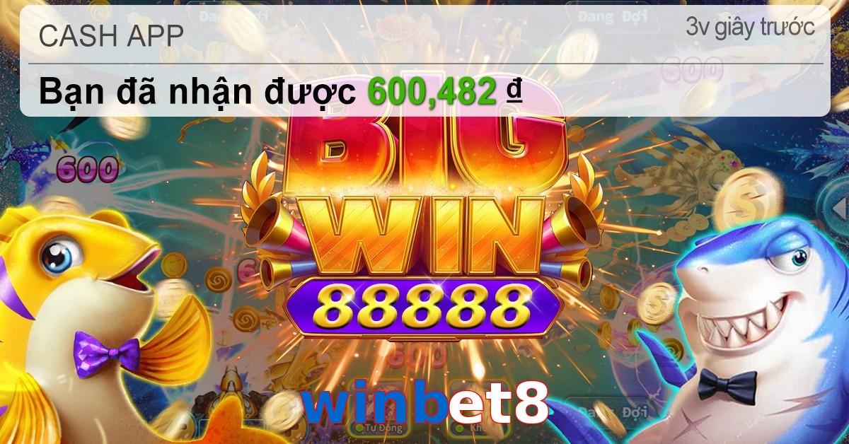 winbet8