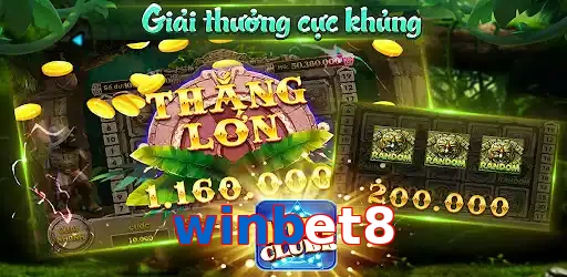 winbet8