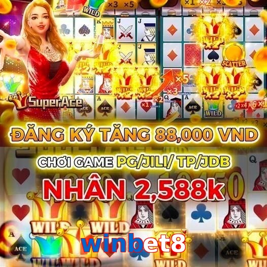 winbet8