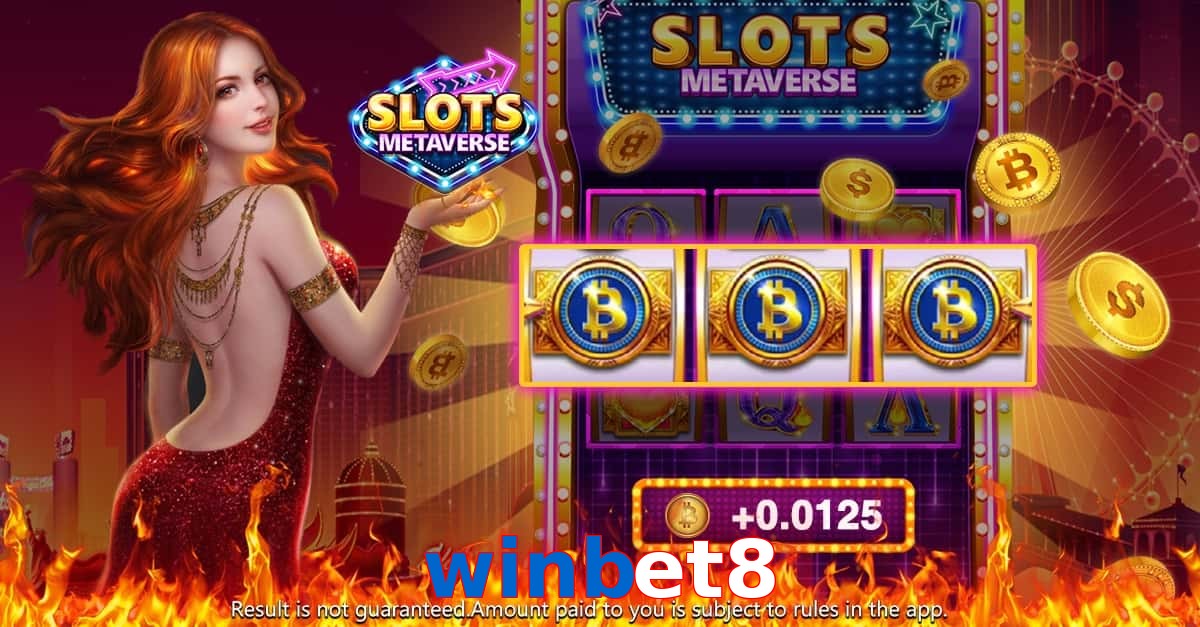 winbet8