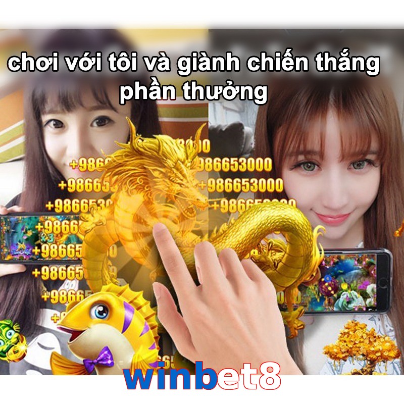 winbet8