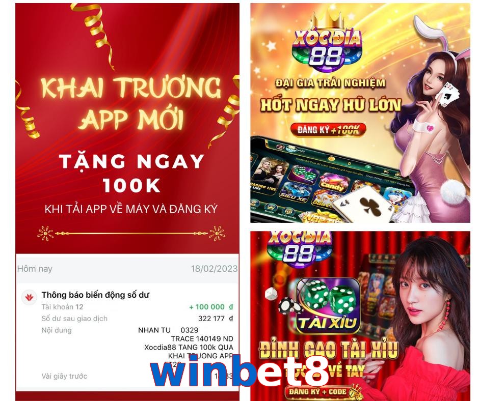 winbet8