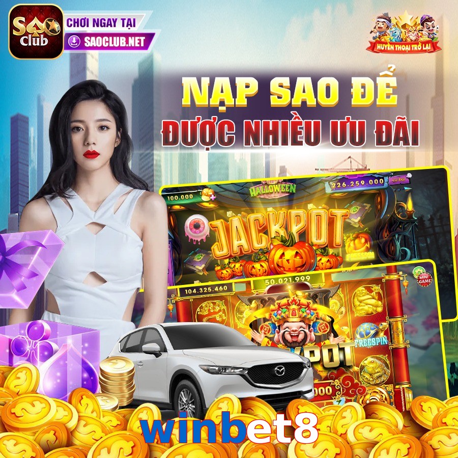winbet8